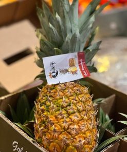 Ananas Prov. Estera I cat