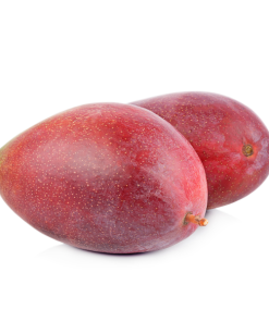 Mango Osteen siciliano | da 4 kg