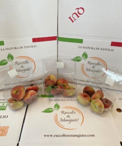 Pesche tabacchiere 3 confezioni da 500gr