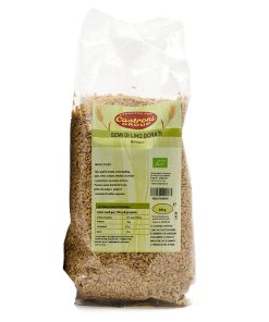 Semi di Lino Dorati Bio